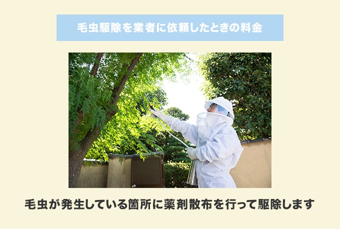 毛虫駆除を業者に依頼した場合の作業料金