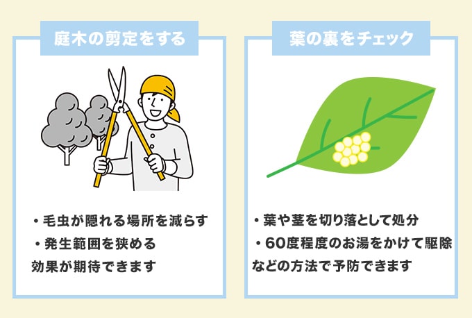庭木の剪定をする
