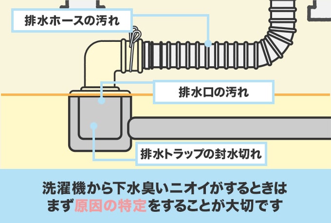 洗濯機の排水口から下水臭い臭いがする原因
