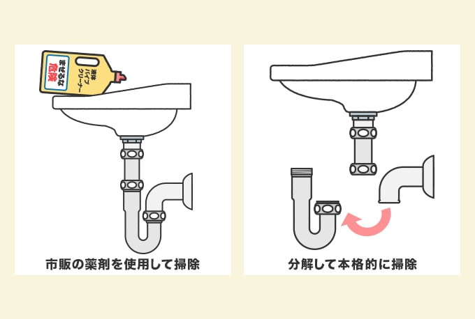 洗面台排水管の掃除をする