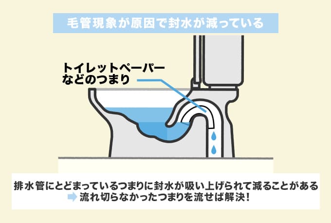 トイレの水位が低い原因1.毛細管現象で封水が減っている