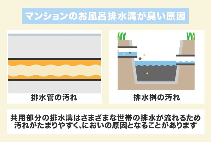 排水溝の臭いが消えないのは排水管・排水桝の汚れが原因