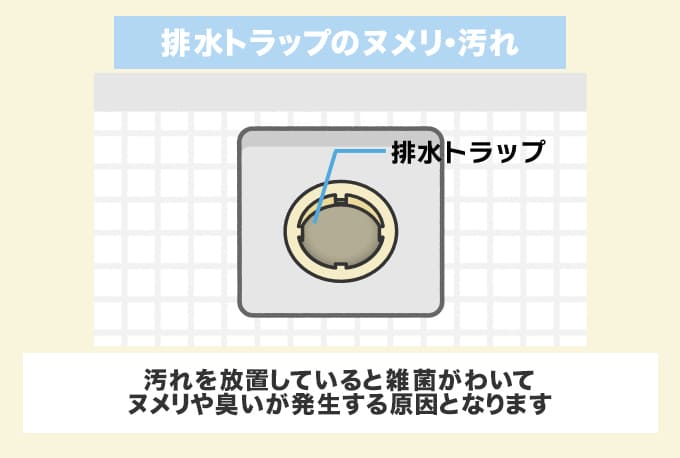 臭い原因2.排水トラップのヌメリ・汚れ