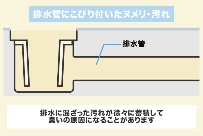 臭い原因3.排水管にこびりついたヌメリ・汚れ