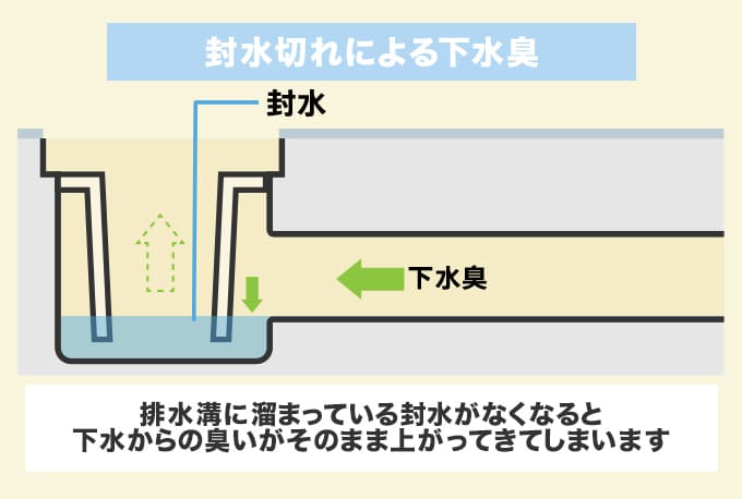 臭い原因4.封水切れ