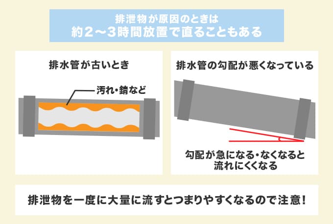 便つまりが放置で自然に直るまでにかかる時間
